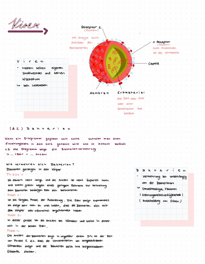 biologie Klassenarbeit
T
H EMEN
Geißel
(6)
aufbau von Viren und Bakterien (AA)
Vermehrung von Viren und Bakterien (A2)
Aufbau und funktion v