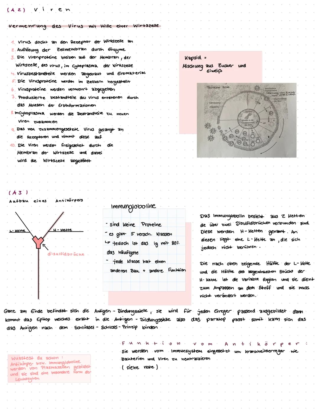 biologie Klassenarbeit
T
H EMEN
Geißel
(6)
aufbau von Viren und Bakterien (AA)
Vermehrung von Viren und Bakterien (A2)
Aufbau und funktion v