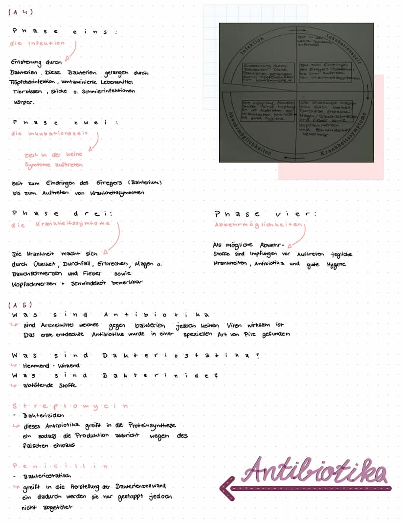 biologie Klassenarbeit
T
H EMEN
Geißel
(6)
aufbau von Viren und Bakterien (AA)
Vermehrung von Viren und Bakterien (A2)
Aufbau und funktion v