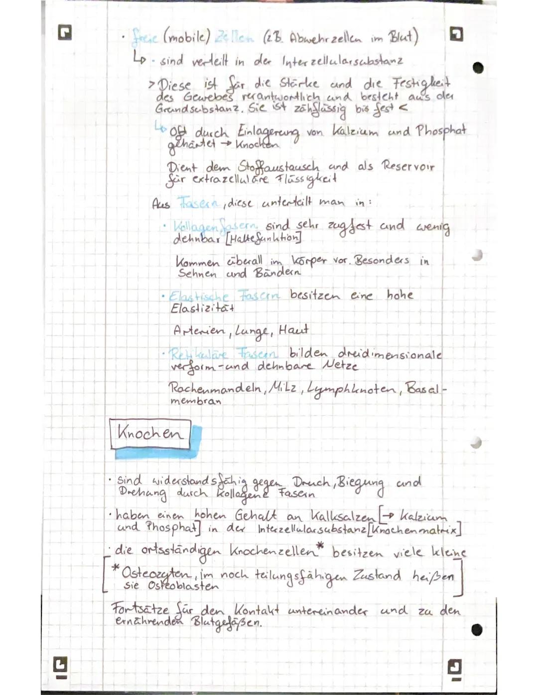 G
DI
freie (mobile) Zellen (2.B. Abwehrzellen im
Lo sind verteilt in der Interzellular substanz
Blut)
.
> Diese ist für die Stärke und die F
