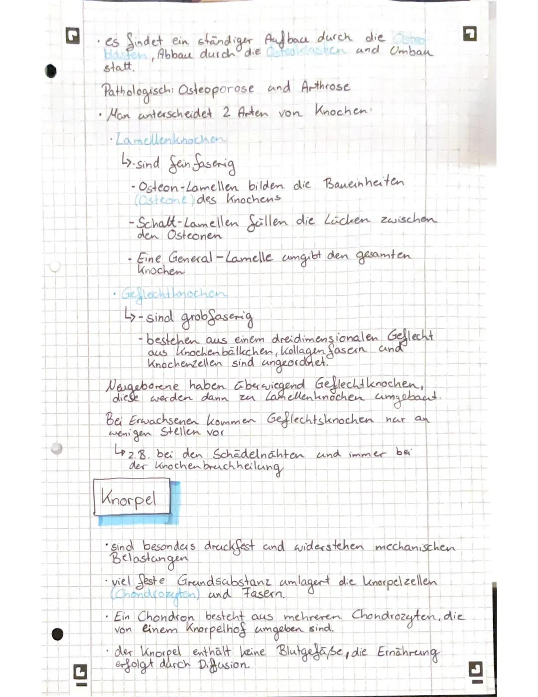 G
DI
freie (mobile) Zellen (2.B. Abwehrzellen im
Lo sind verteilt in der Interzellular substanz
Blut)
.
> Diese ist für die Stärke und die F