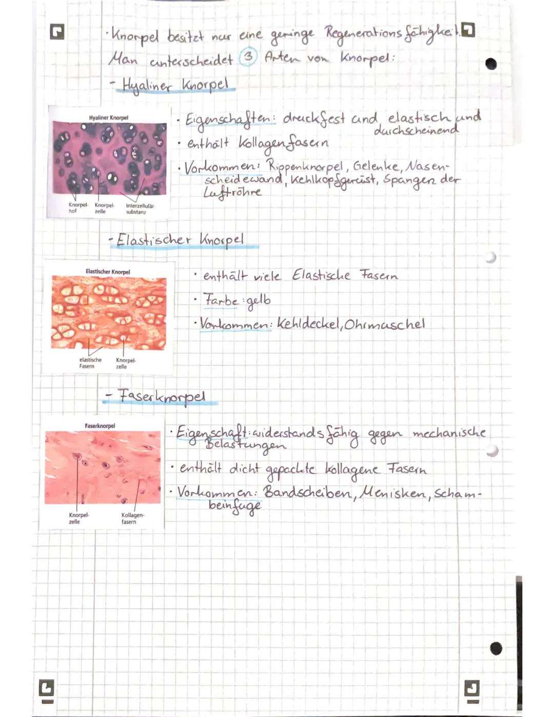 G
DI
freie (mobile) Zellen (2.B. Abwehrzellen im
Lo sind verteilt in der Interzellular substanz
Blut)
.
> Diese ist für die Stärke und die F