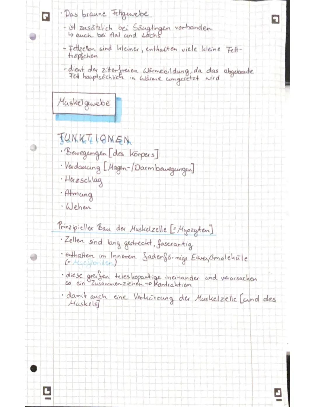 G
DI
freie (mobile) Zellen (2.B. Abwehrzellen im
Lo sind verteilt in der Interzellular substanz
Blut)
.
> Diese ist für die Stärke und die F