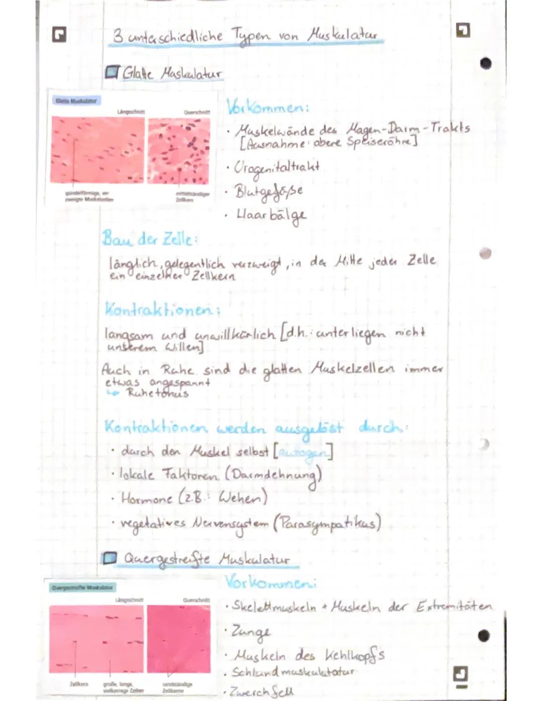 G
DI
freie (mobile) Zellen (2.B. Abwehrzellen im
Lo sind verteilt in der Interzellular substanz
Blut)
.
> Diese ist für die Stärke und die F