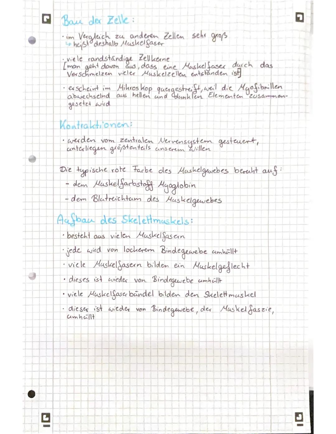 G
DI
freie (mobile) Zellen (2.B. Abwehrzellen im
Lo sind verteilt in der Interzellular substanz
Blut)
.
> Diese ist für die Stärke und die F