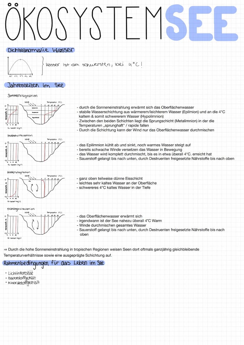 ÖKOSYSTEMSEE
Definition See
Ein See ist ein stilles Gewässer, welches komplett von Land umgeben
ist. Es kann sein, dass es Zu- und Abflüsse 