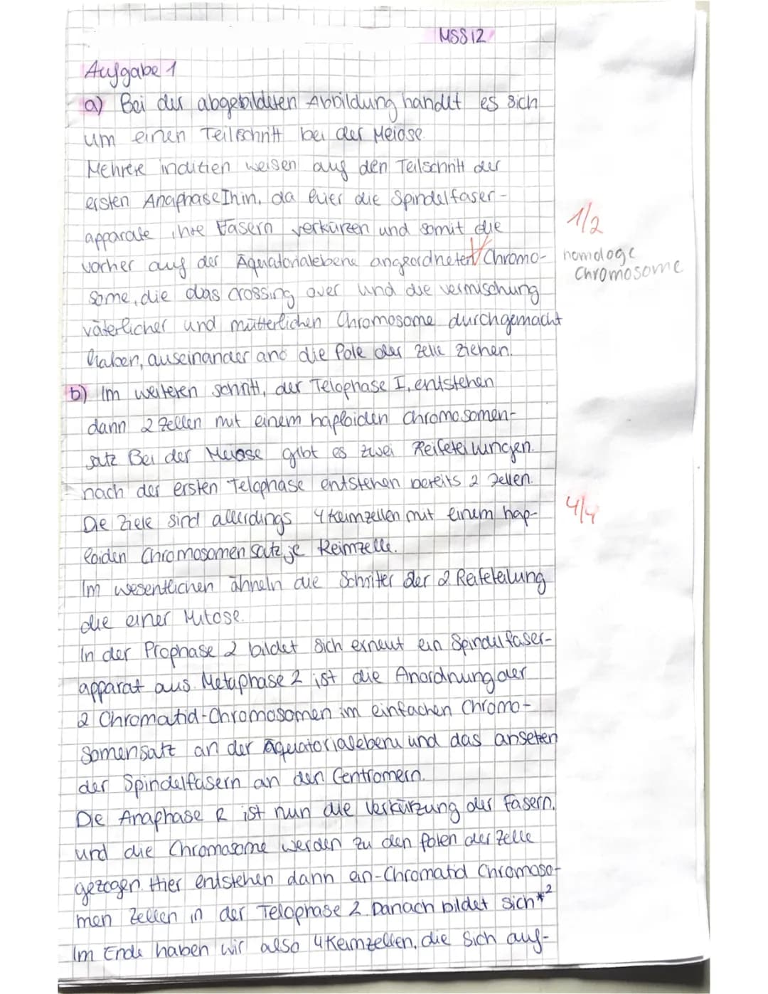 Arbeit zur Stammbaumanalyse