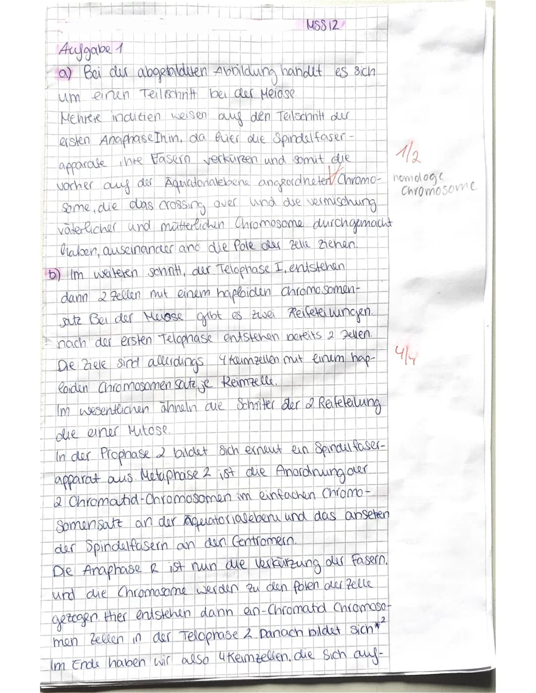 MS812
Aufgabe 1
a) Bei der abgebildeten Abbildung handelt es sich
um einen Teil schritt bei der Meiose.
1/2
vorher
Mehrere indition weisen a