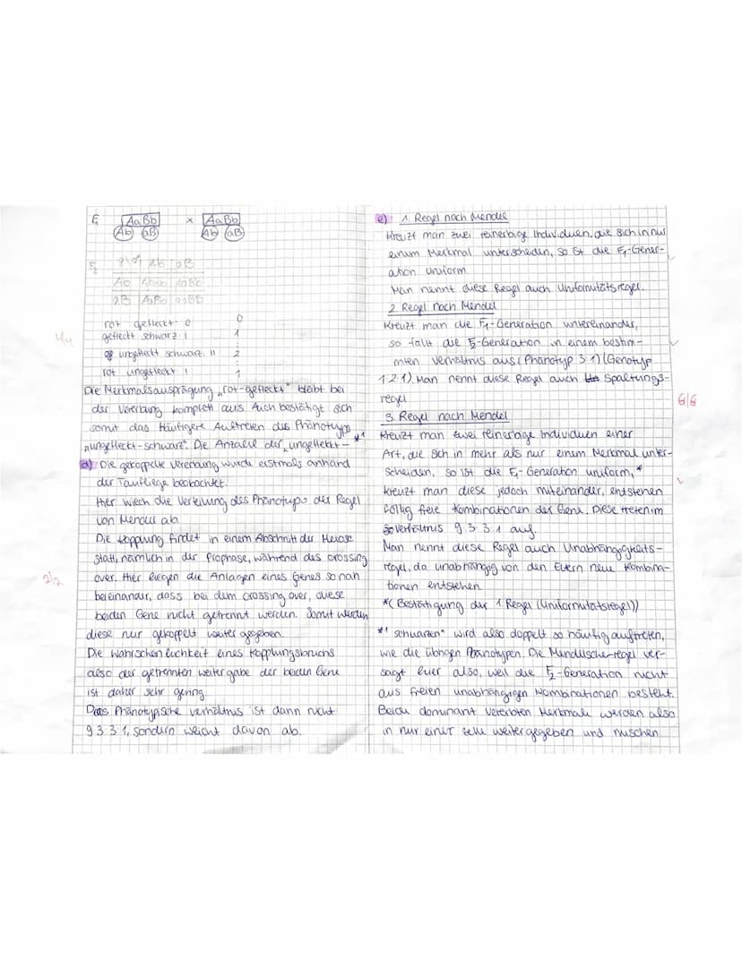 MS812
Aufgabe 1
a) Bei der abgebildeten Abbildung handelt es sich
um einen Teil schritt bei der Meiose.
1/2
vorher
Mehrere indition weisen a