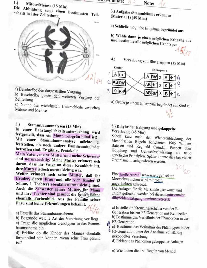 MS812
Aufgabe 1
a) Bei der abgebildeten Abbildung handelt es sich
um einen Teil schritt bei der Meiose.
1/2
vorher
Mehrere indition weisen a