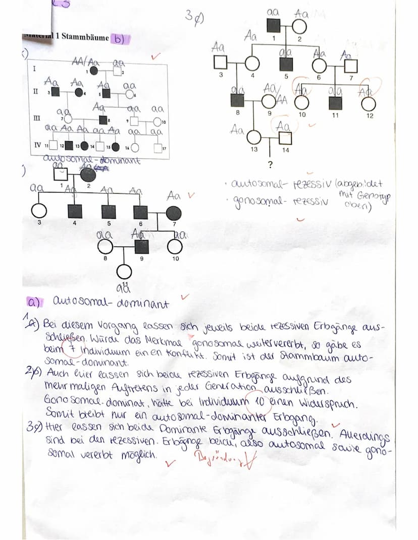 MS812
Aufgabe 1
a) Bei der abgebildeten Abbildung handelt es sich
um einen Teil schritt bei der Meiose.
1/2
vorher
Mehrere indition weisen a