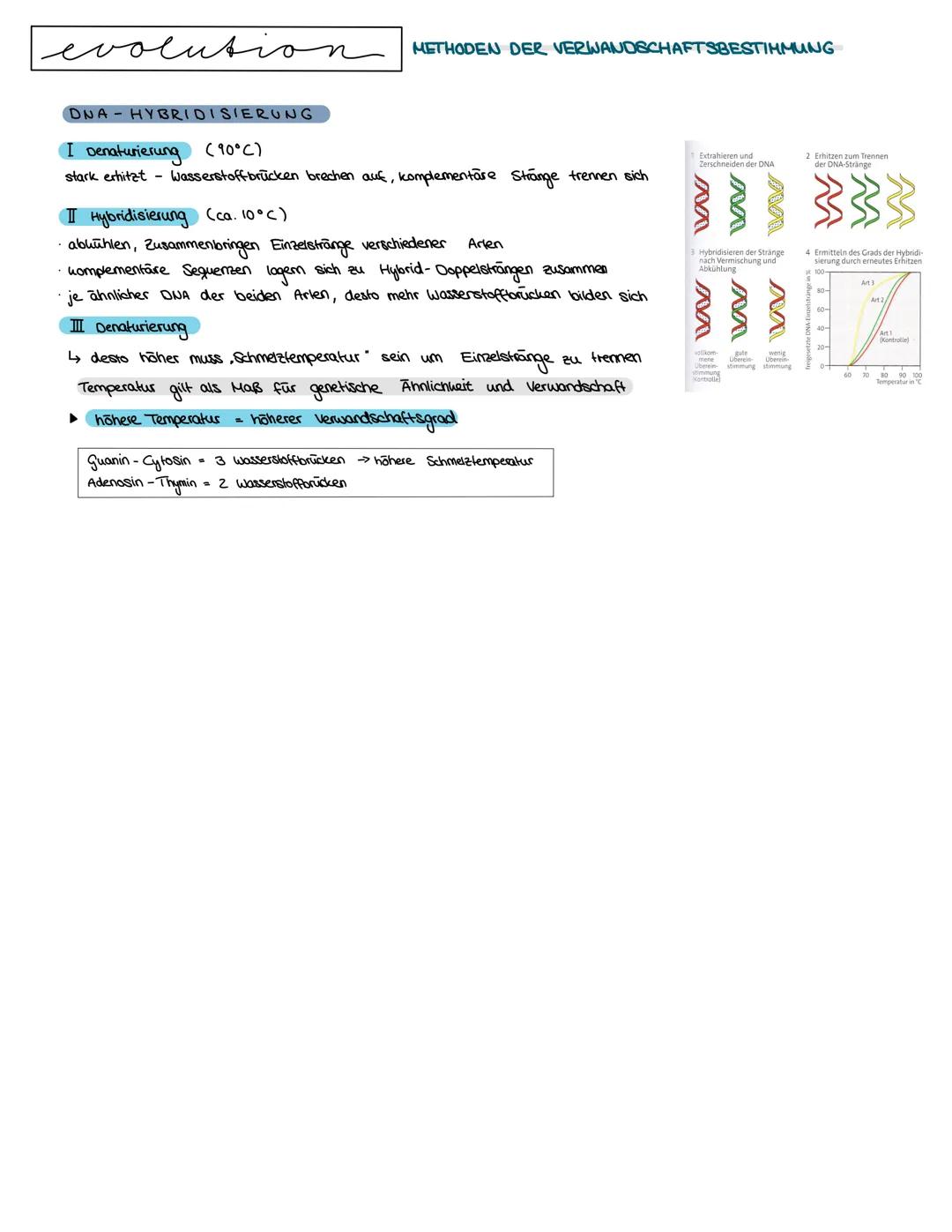 Semester 4
f
evolution O
O
evolution
O
0
LAMAR CK 1809 → Artenwandel durch Vererbung erworbener Eigenschaften
^-^-^
innerer Trieb zur Vervol