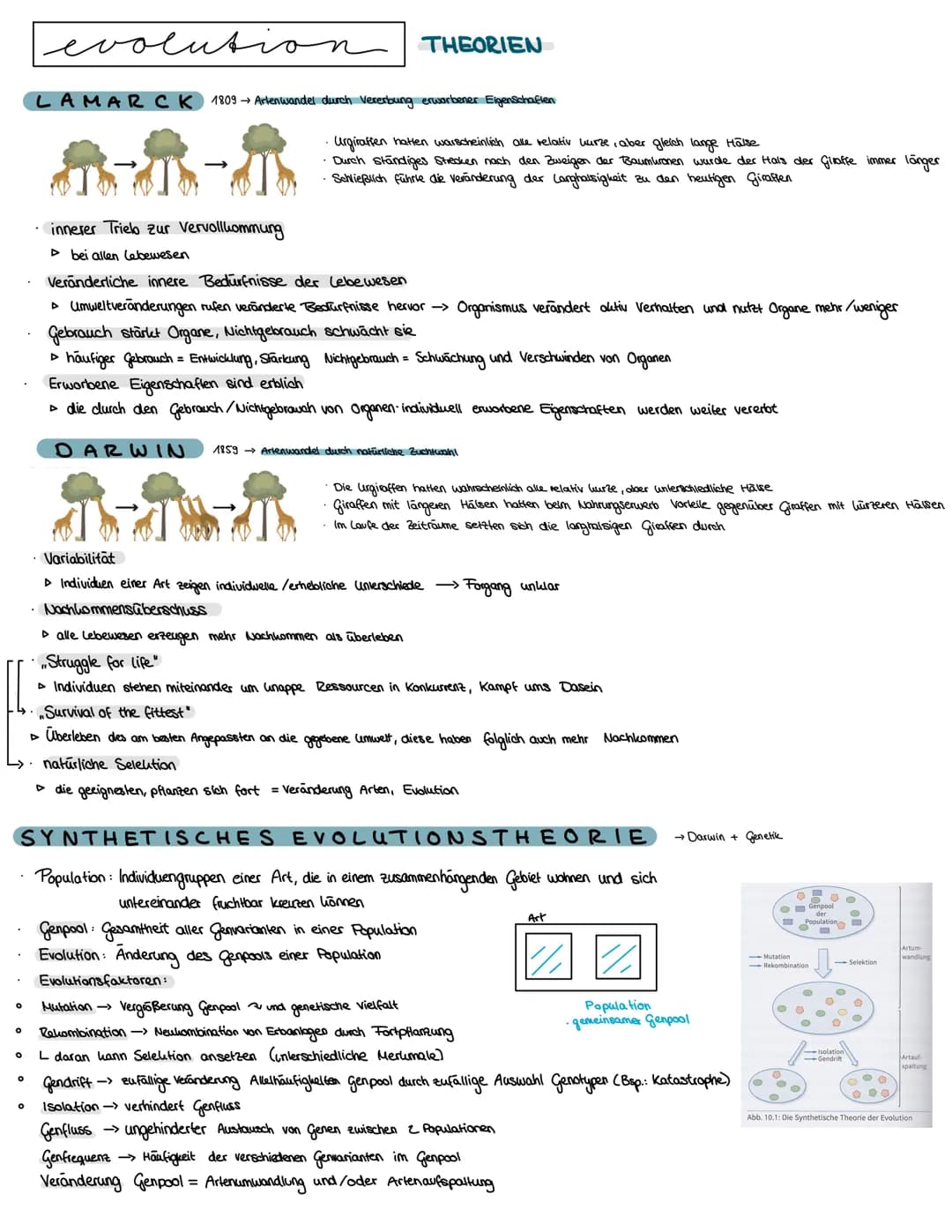 Semester 4
f
evolution O
O
evolution
O
0
LAMAR CK 1809 → Artenwandel durch Vererbung erworbener Eigenschaften
^-^-^
innerer Trieb zur Vervol