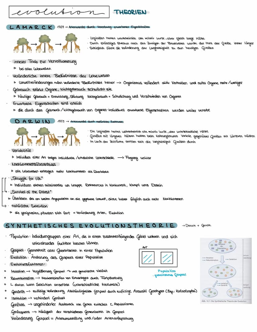Semester 4
f
evolution O
O
evolution
O
0
LAMAR CK 1809 → Artenwandel durch Vererbung erworbener Eigenschaften
^-^-^
innerer Trieb zur Vervol