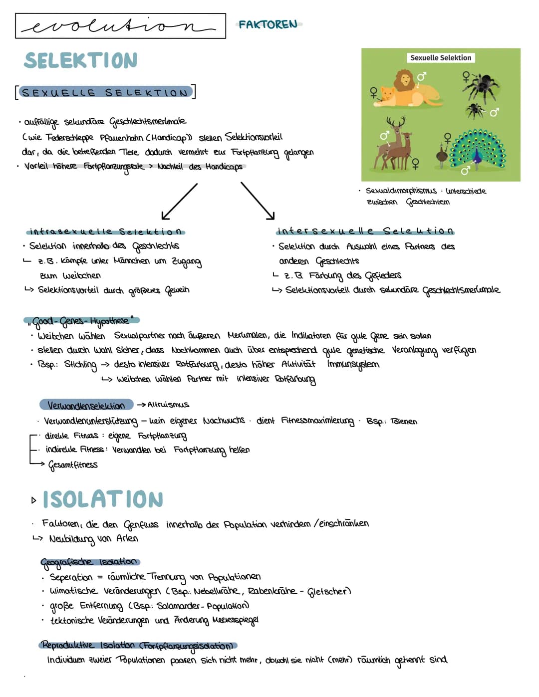 Semester 4
f
evolution O
O
evolution
O
0
LAMAR CK 1809 → Artenwandel durch Vererbung erworbener Eigenschaften
^-^-^
innerer Trieb zur Vervol