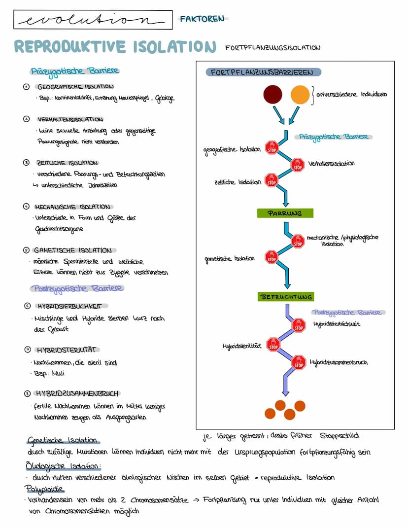 Semester 4
f
evolution O
O
evolution
O
0
LAMAR CK 1809 → Artenwandel durch Vererbung erworbener Eigenschaften
^-^-^
innerer Trieb zur Vervol