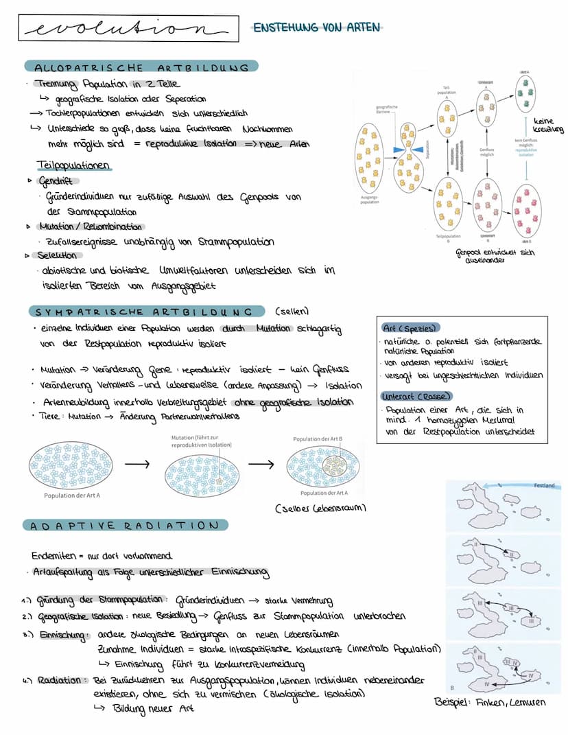 Semester 4
f
evolution O
O
evolution
O
0
LAMAR CK 1809 → Artenwandel durch Vererbung erworbener Eigenschaften
^-^-^
innerer Trieb zur Vervol