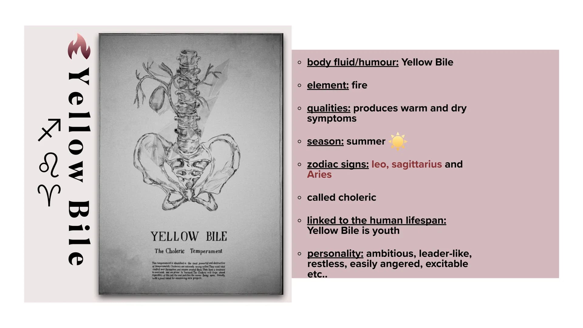 es
The Four Elements and Humours
Alice, Phebe, Deyla & Lea Structure
O Short introduction
o The Four Elements and Humours with their signifi