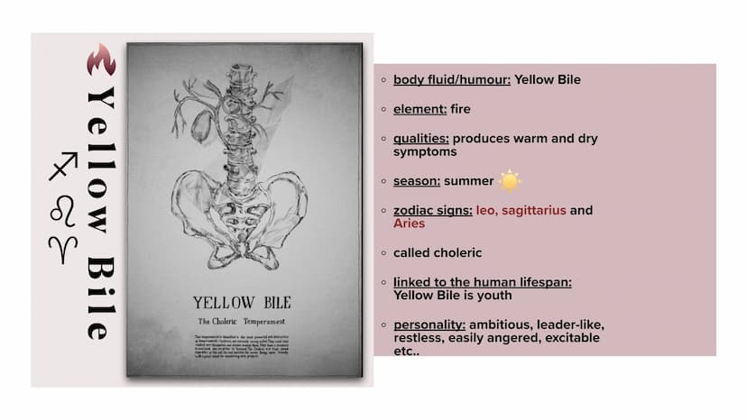 es
The Four Elements and Humours
Alice, Phebe, Deyla & Lea Structure
O Short introduction
o The Four Elements and Humours with their signifi