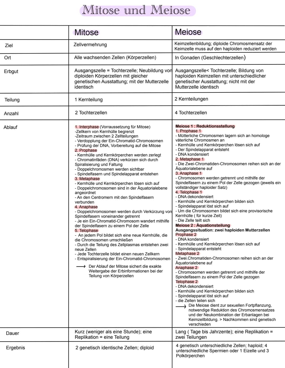 Ziel
Ort
Erbgut
Teilung
Anzahl
Ablauf
Dauer
Ergebnis
Mitose und Meiose
Mitose
Zellvermehrung
Alle wachsenden Zellen (Körperzellen)
Ausgangsz