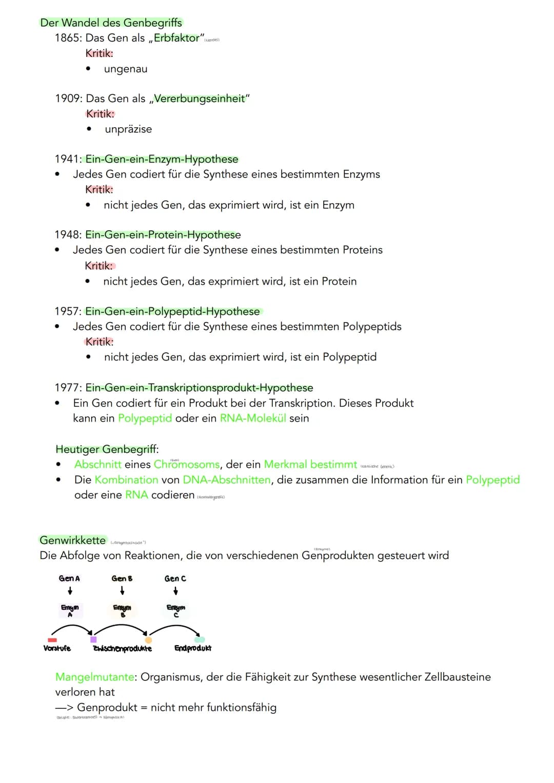 GENETIK
Zytogenetik
Zellkern
> Bau
●
●
●
●
●
|(stoffaustausch)
doppelte Kernmembran mit Kernporentof
verbunden mit Endoplasmatischen Retikul