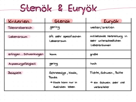 Know Stenök & Euryök thumbnail