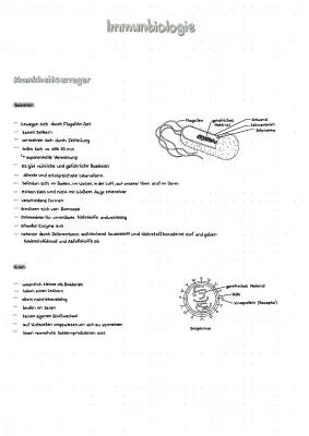 Know Immunbiologie  thumbnail