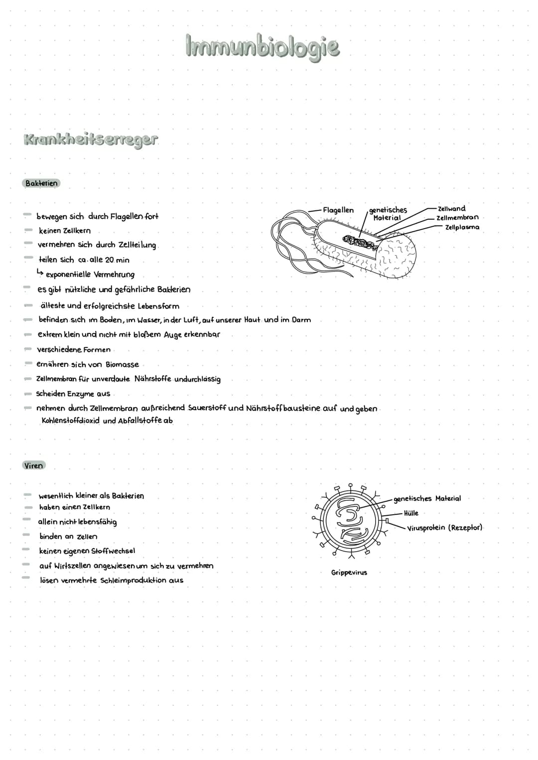 Krankheitserreger
Bakterien
1.1.1.1.
1 1 1 1 1 1 1 1 0
bewegen sich durch Flagellen fort
Zellkern
vermehren sich durch Zellteilung.
teilen s