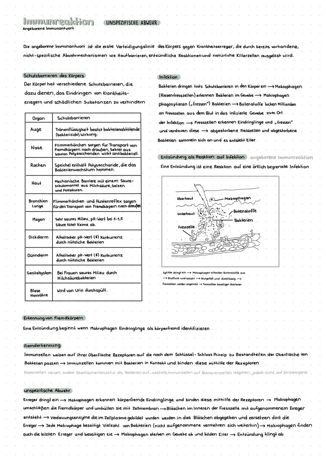 Krankheitserreger
Bakterien
1.1.1.1.
1 1 1 1 1 1 1 1 0
bewegen sich durch Flagellen fort
Zellkern
vermehren sich durch Zellteilung.
teilen s