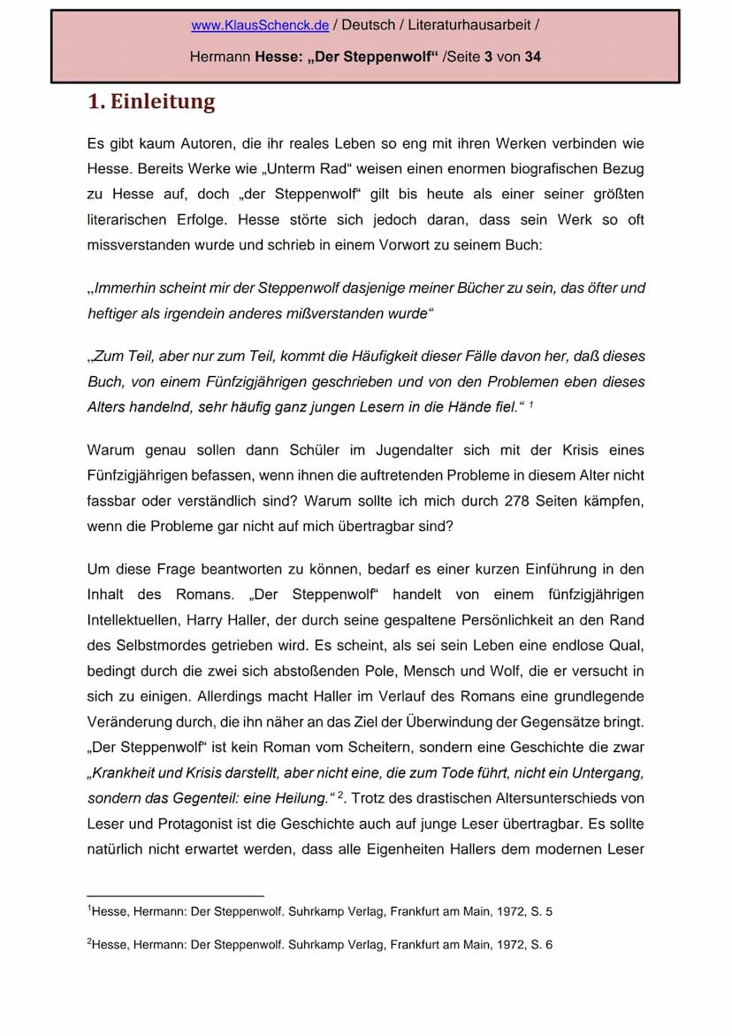 Sehr geehrter Herr Haller,
nachdem ich sowohl Ihre Aufzeichnungen als auch die Ihres Nebenmieters lesen
durfte, habe ich mich zu diesem Brie