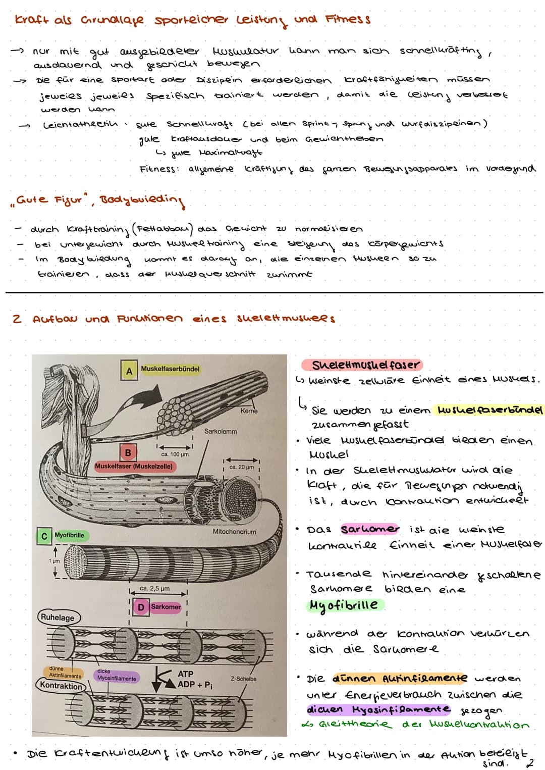 
<p>In this presentation, we will cover the fundamentals of strength training, including the physiology of strength training, calculating re