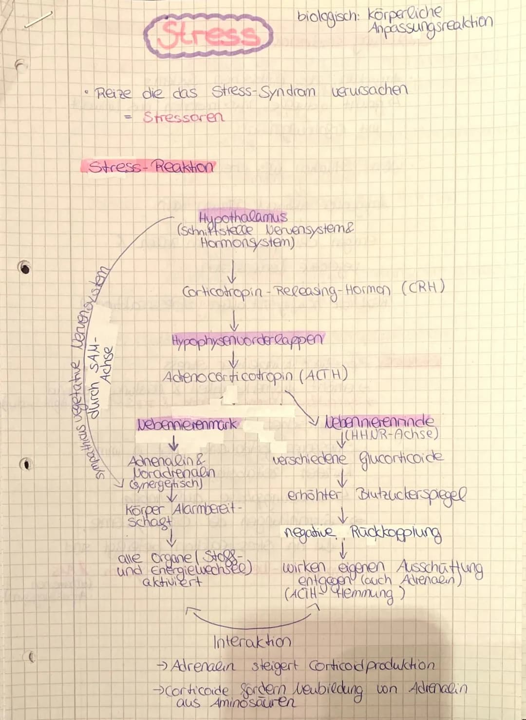 O
O
Stress
Reize die das Stress-Syndrom verursachen
Stressoren
(1
sympathicus vegetative vervensystem
Achse
durch SAM-
Stress-Reaktion
Hypot