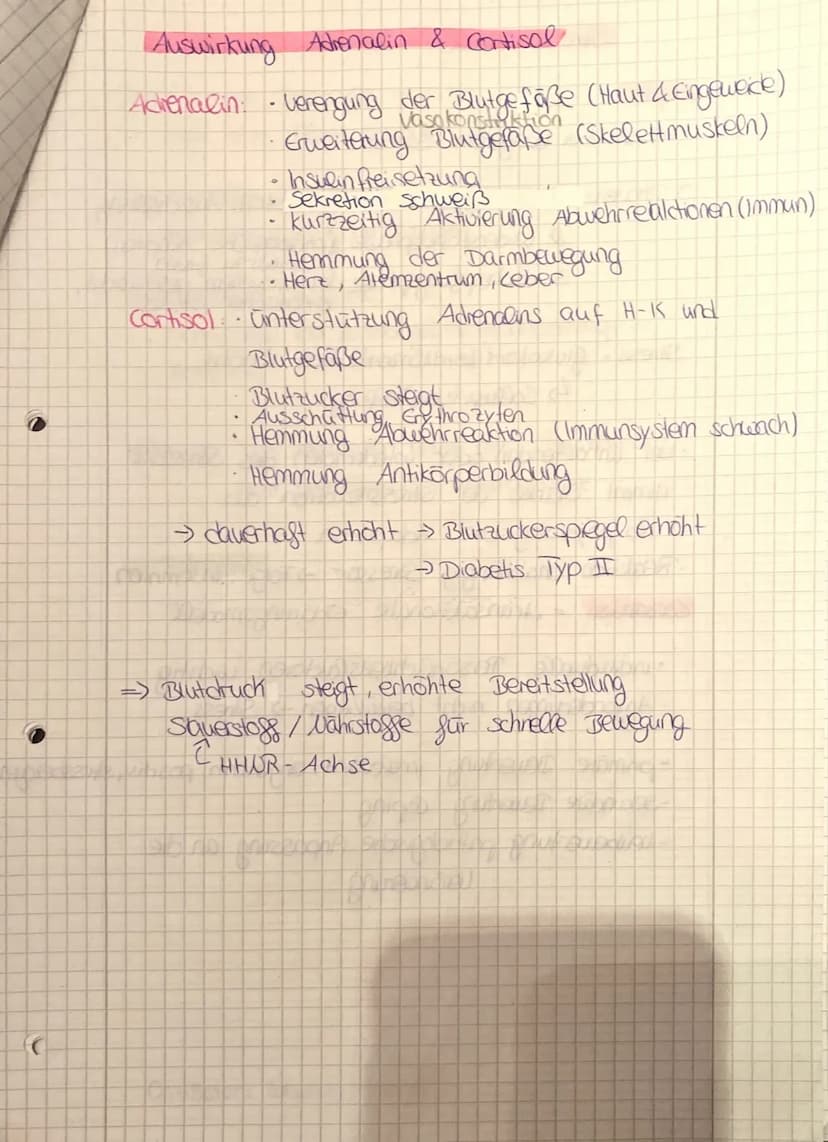 O
O
Stress
Reize die das Stress-Syndrom verursachen
Stressoren
(1
sympathicus vegetative vervensystem
Achse
durch SAM-
Stress-Reaktion
Hypot