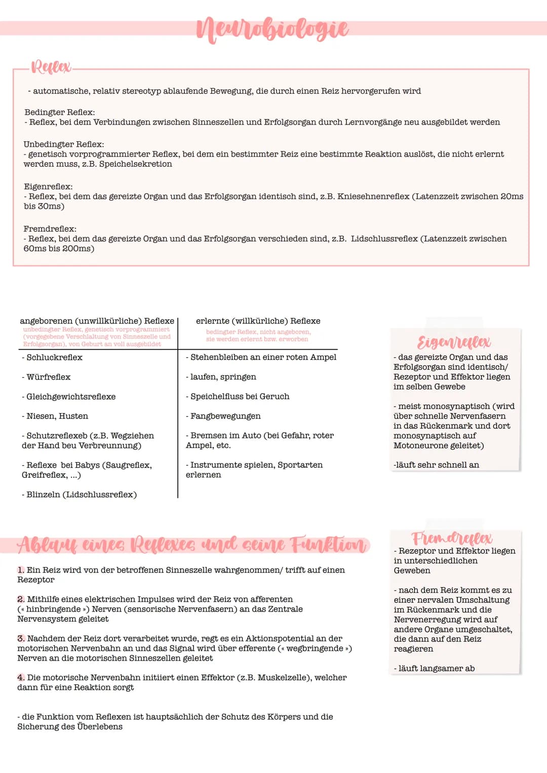 - Reflex
- automatische, relativ stereotyp ablaufende Bewegung, die durch einen Reiz hervorgerufen wird
Bedingter Reflex:
- Reflex, bei dem 