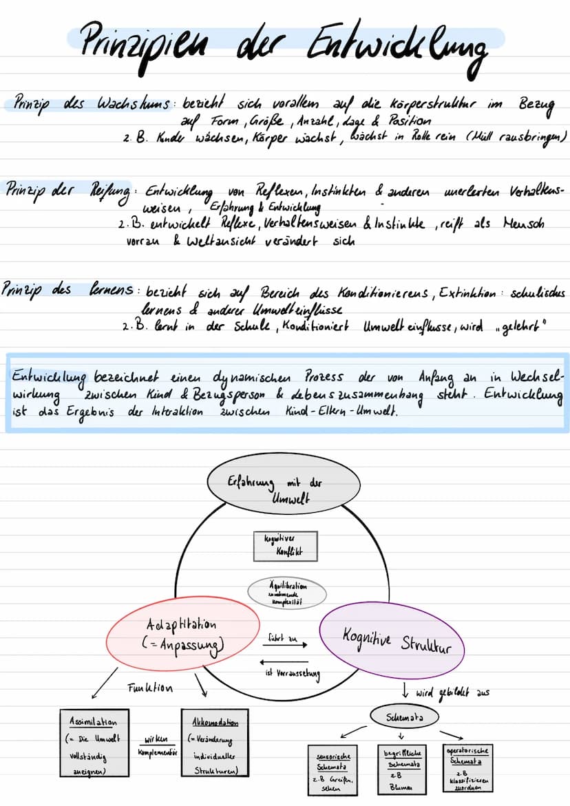
<h2 id="introduction">Introduction</h2>
<p>Jean Piaget's theory of cognitive development describes the stages of a child's intellectual gro