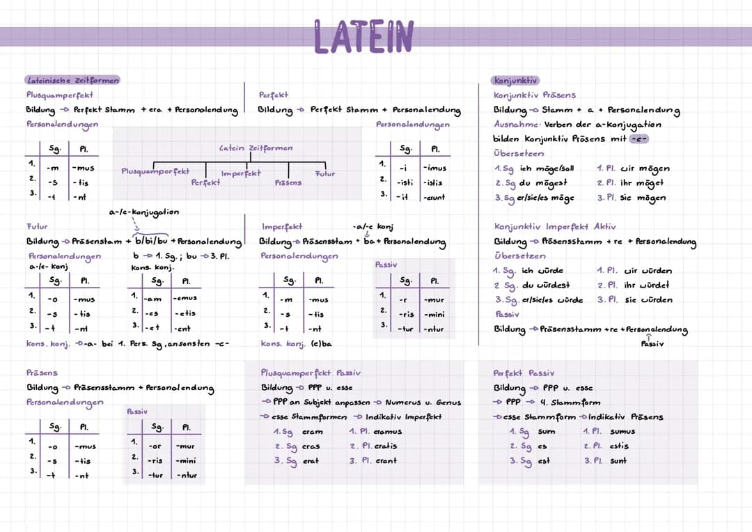 Latein: Alle Zeitformen Aktiv/Passiv;Konjunktiv Präsens,Imperfekt,Plusq;AcI;Abl Abs;Personalpronomen
