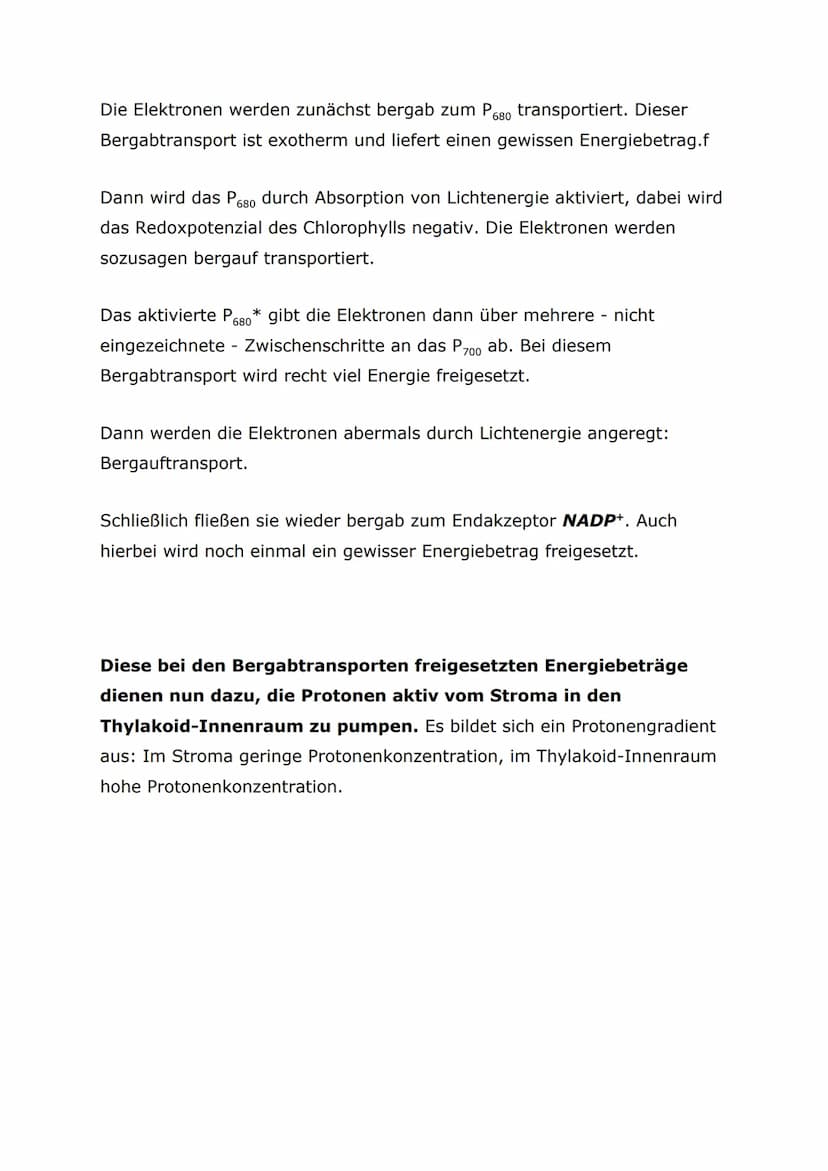 Protonentransport bei der Lichtreaktion
Auch bei der Lichtreaktion der Fotosynthese werden Protonen auf diese
Weise transportiert. Im Plasma