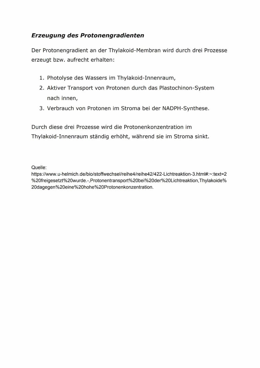 Protonentransport bei der Lichtreaktion
Auch bei der Lichtreaktion der Fotosynthese werden Protonen auf diese
Weise transportiert. Im Plasma