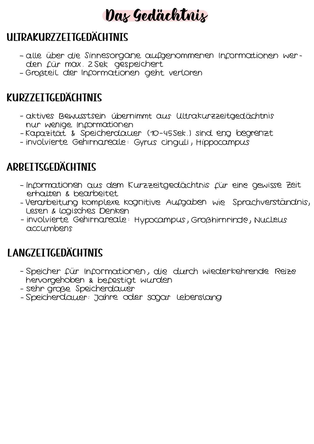 Neurobio-
logie AUFBAU DES AUGES
Linsenbänder
(zanulafasern)
Linse
vordere
Augenkammer
Pupille
4-64mm ²
Kornea
(Hornhaut)
Iris
hintere
Augen