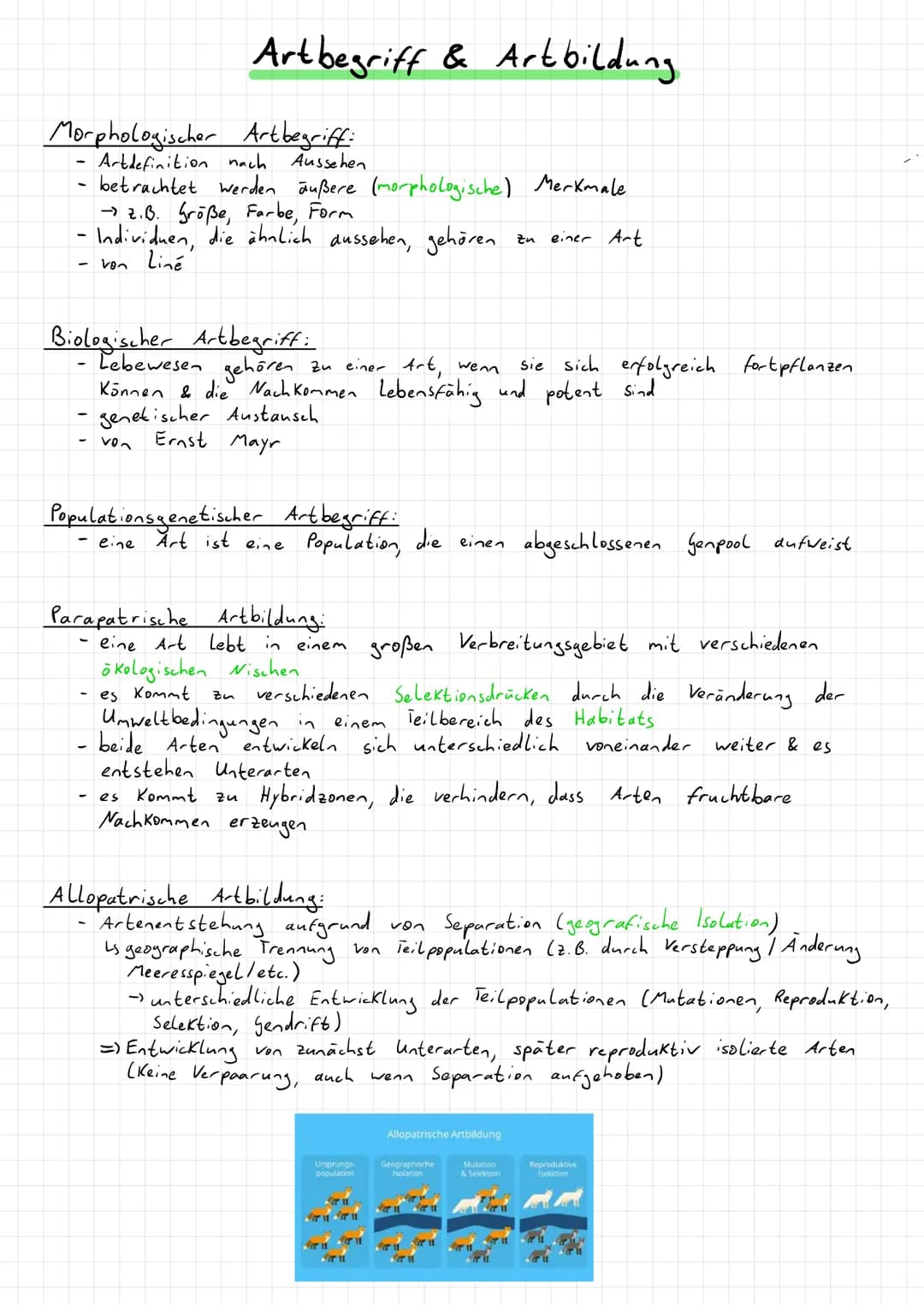 Morphologischer Artbegriff:
Artdefinition nach Aussehen
betrachtet werden äußere (morphologische) Merkmale
→ Z. B. Größe, Farbe, Form
- Indi