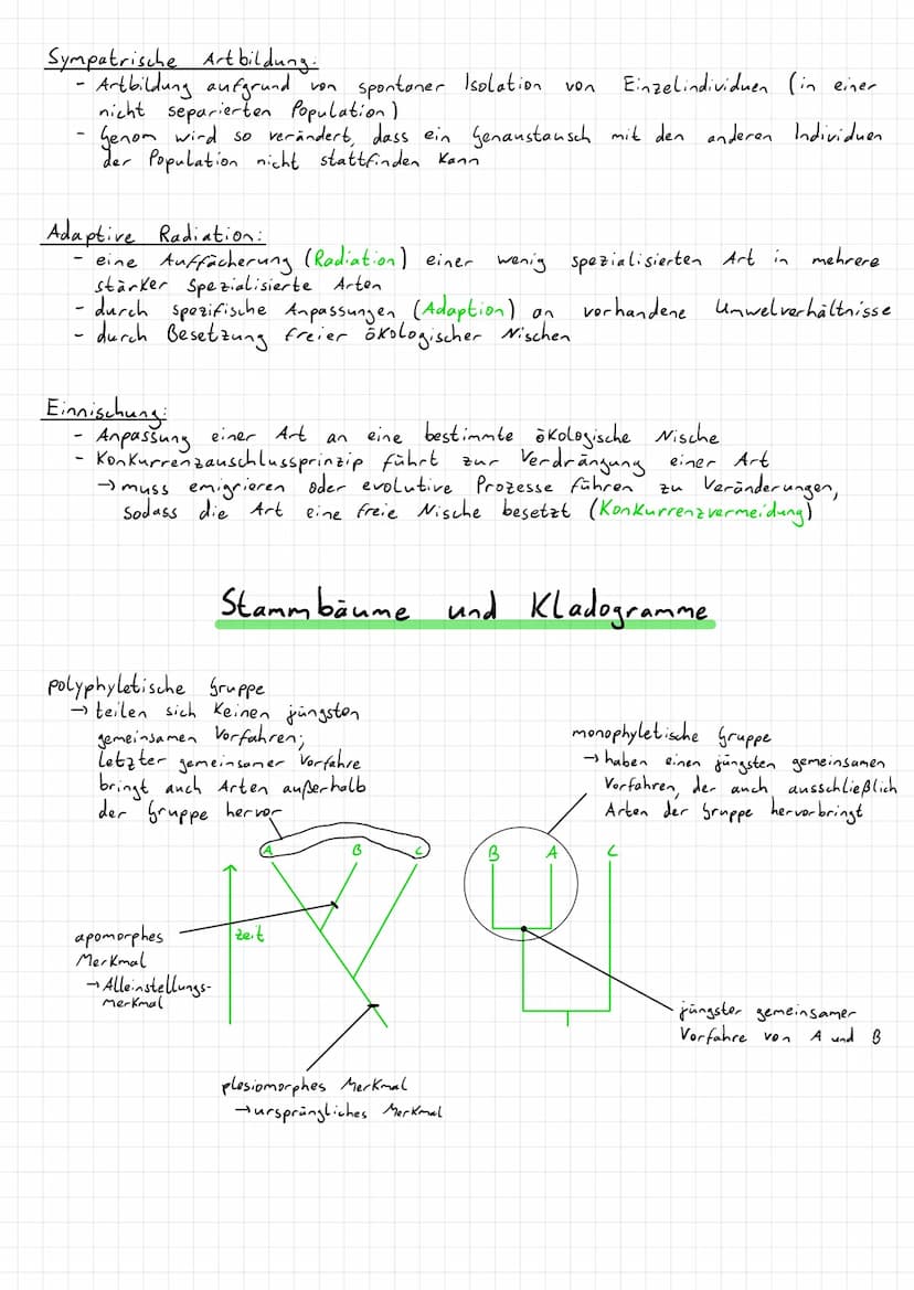 Morphologischer Artbegriff:
Artdefinition nach Aussehen
betrachtet werden äußere (morphologische) Merkmale
→ Z. B. Größe, Farbe, Form
- Indi