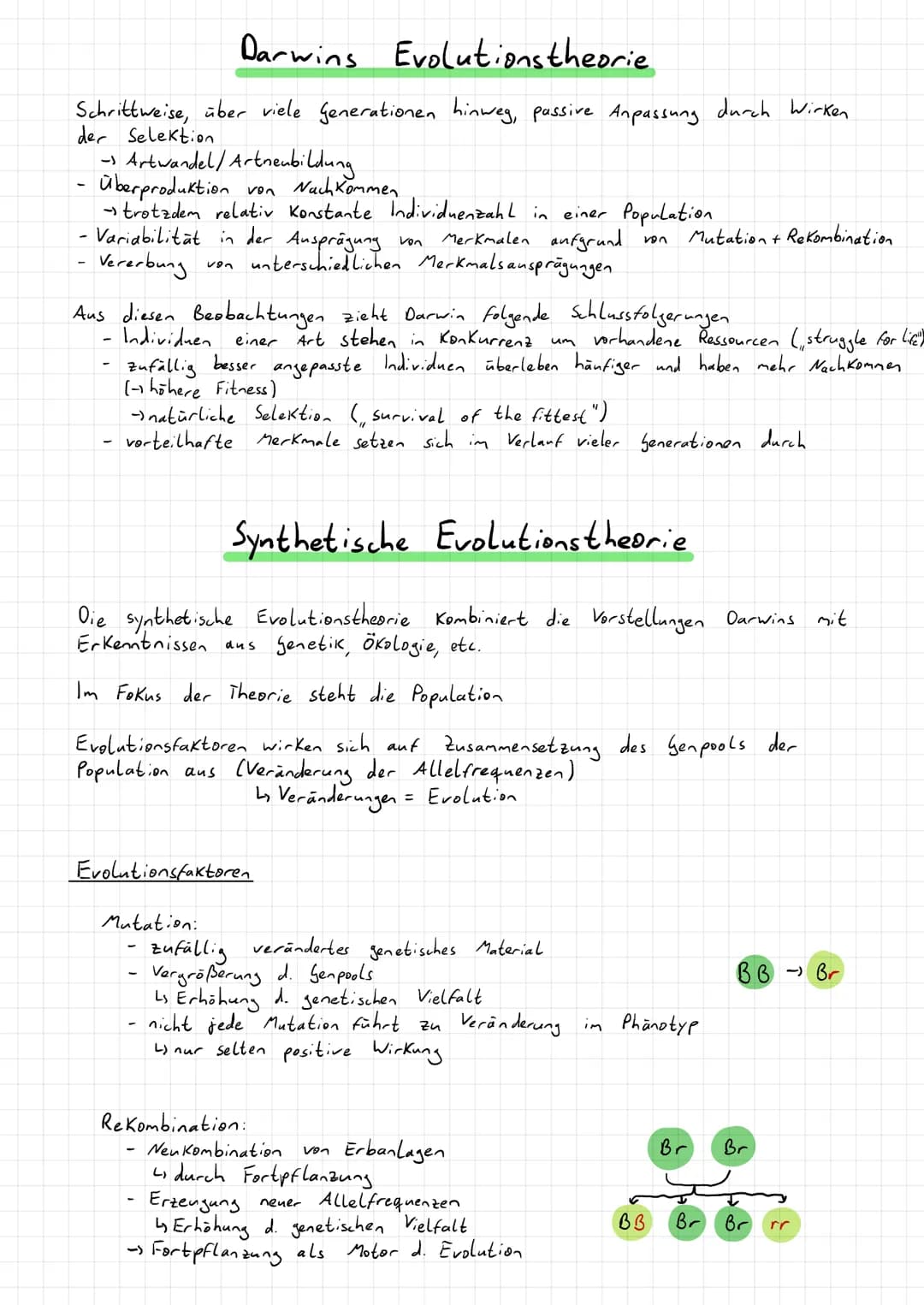 Morphologischer Artbegriff:
Artdefinition nach Aussehen
betrachtet werden äußere (morphologische) Merkmale
→ Z. B. Größe, Farbe, Form
- Indi