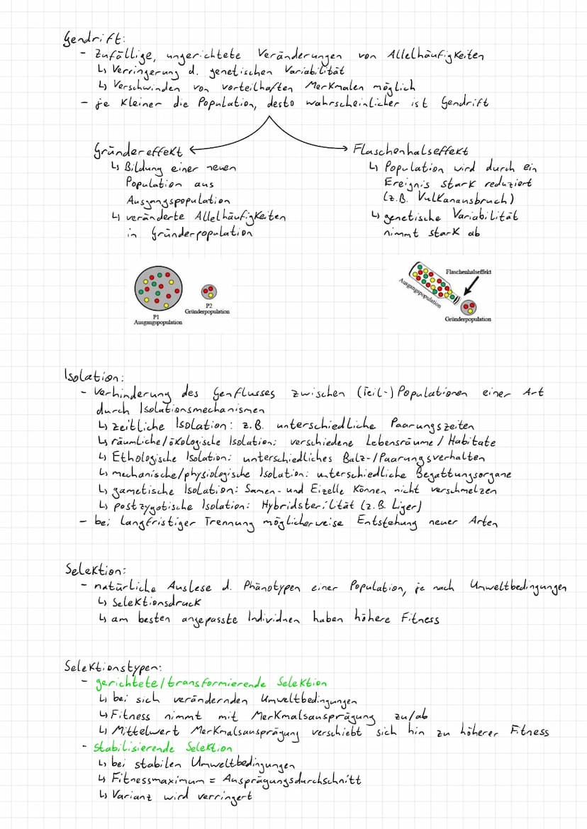 Morphologischer Artbegriff:
Artdefinition nach Aussehen
betrachtet werden äußere (morphologische) Merkmale
→ Z. B. Größe, Farbe, Form
- Indi