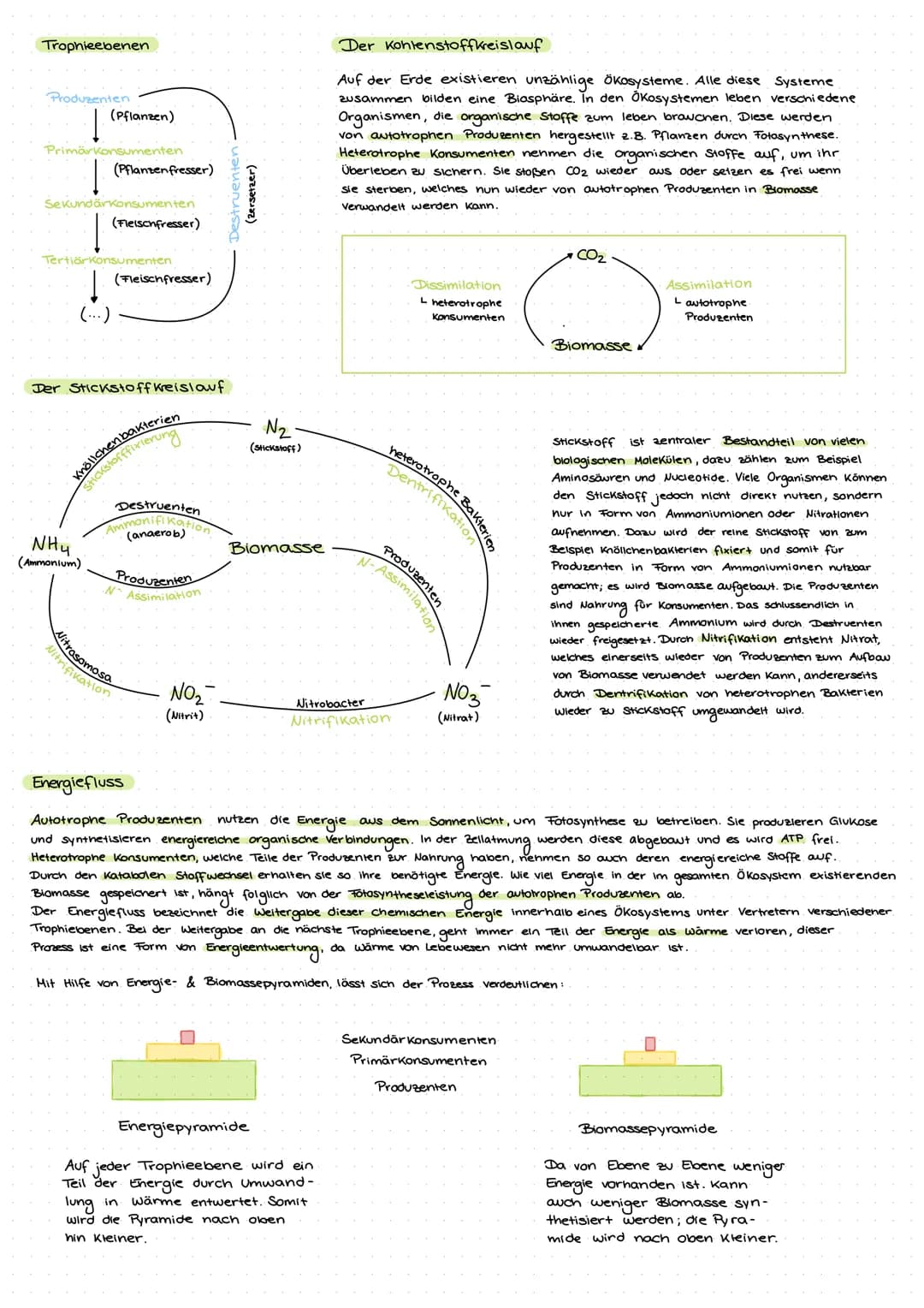 OKOLOGIE
"Wechselspiel zwischen Lebewesen und der unbelebten Umwelt
Vitalität
Lebewesen
• Individuum
• Population
Art
Biozönase
Umwelt
• Bio