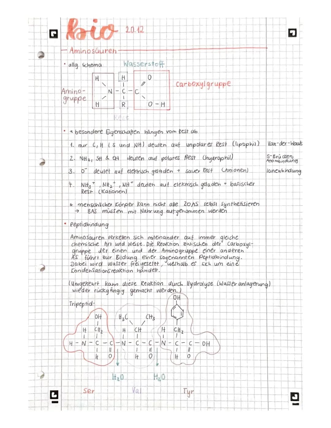 IG
bio
Aminosäuren-
allg. Schema
H
Amino-
gruppe
H
●
\
/
OH
HAFICA=
Ser
20.12
Wasserstoff
0
H
1
N-C
H₂ CH₂
1
•* besondere Eigenschaften häng