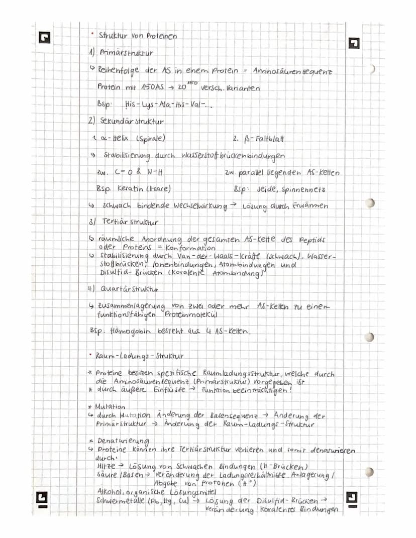 IG
bio
Aminosäuren-
allg. Schema
H
Amino-
gruppe
H
●
\
/
OH
HAFICA=
Ser
20.12
Wasserstoff
0
H
1
N-C
H₂ CH₂
1
•* besondere Eigenschaften häng