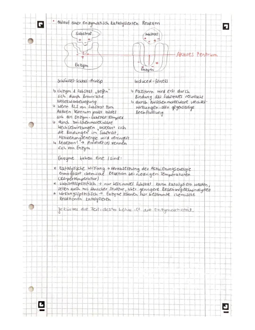 IG
bio
Aminosäuren-
allg. Schema
H
Amino-
gruppe
H
●
\
/
OH
HAFICA=
Ser
20.12
Wasserstoff
0
H
1
N-C
H₂ CH₂
1
•* besondere Eigenschaften häng