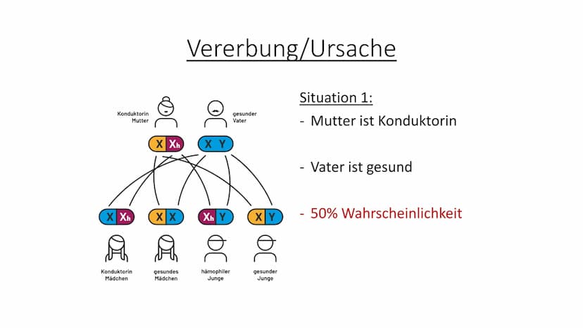 Bluterkrankheit
-Hämophilie- Kurzbeschreibung der Krankheit:
Hämophilie ist eine angeborene Krankheit oder kann auch aus unerklärlichen
Grün