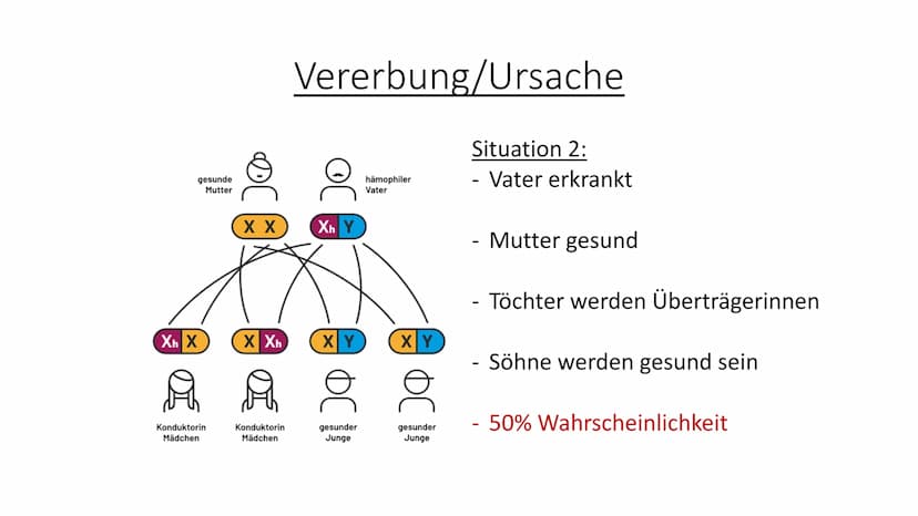 Bluterkrankheit
-Hämophilie- Kurzbeschreibung der Krankheit:
Hämophilie ist eine angeborene Krankheit oder kann auch aus unerklärlichen
Grün