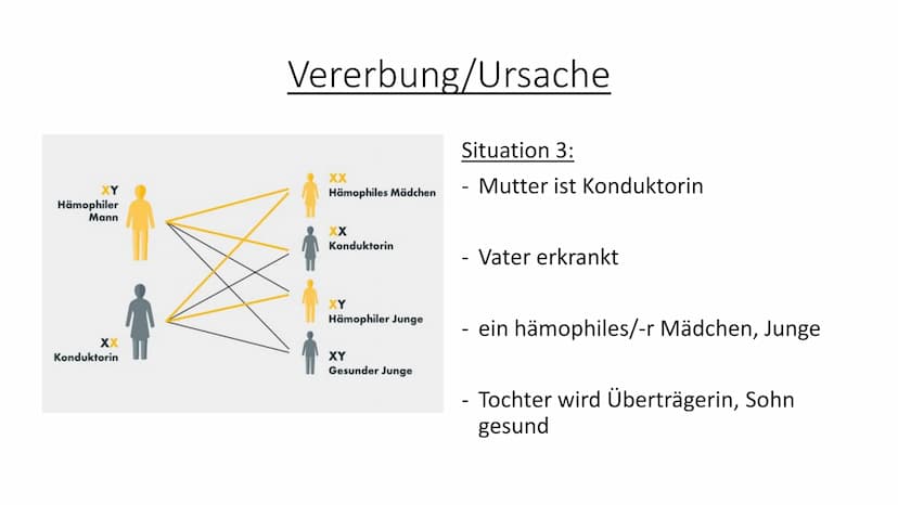 Bluterkrankheit
-Hämophilie- Kurzbeschreibung der Krankheit:
Hämophilie ist eine angeborene Krankheit oder kann auch aus unerklärlichen
Grün